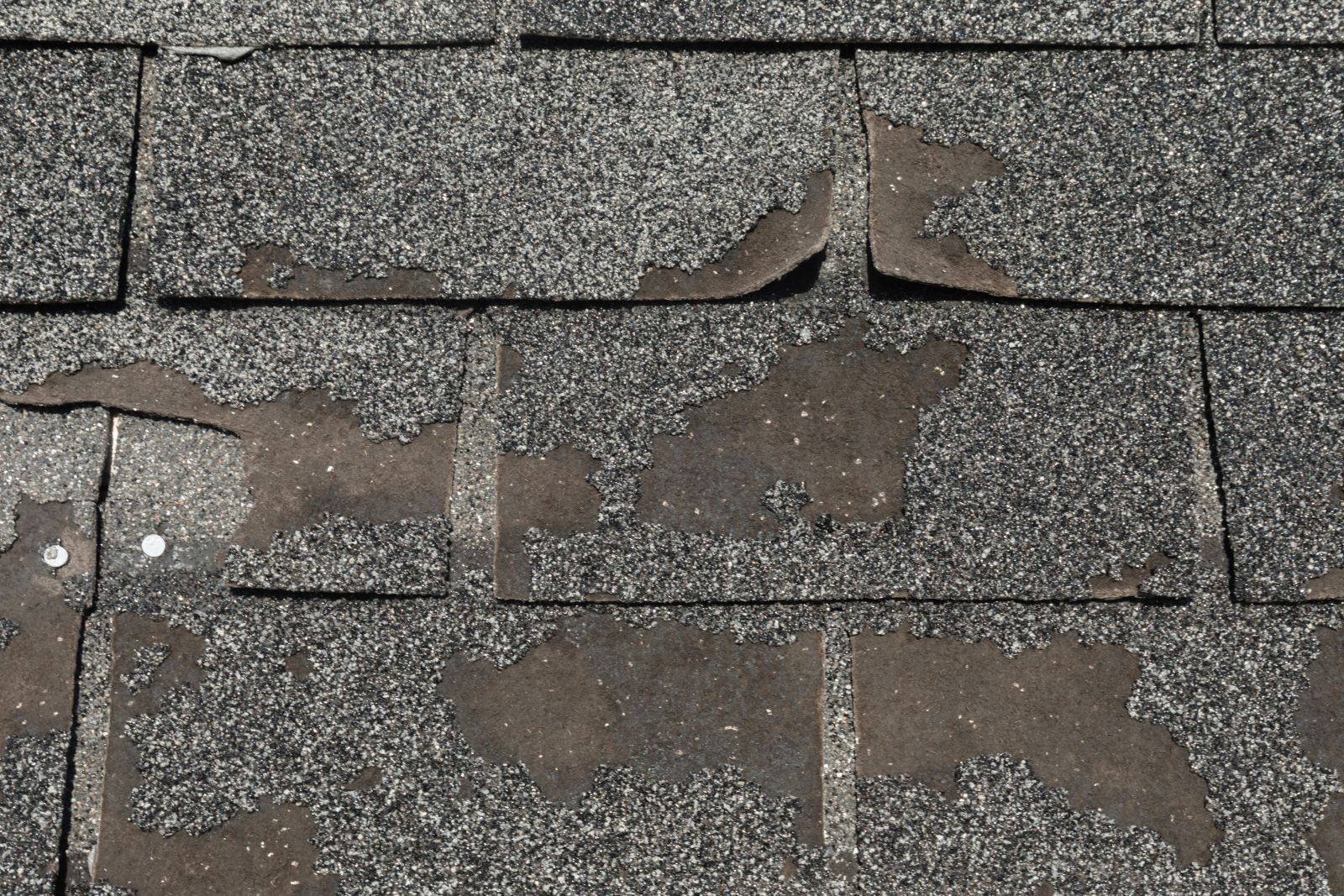 Mark Ferguson Roofing & Construction Images