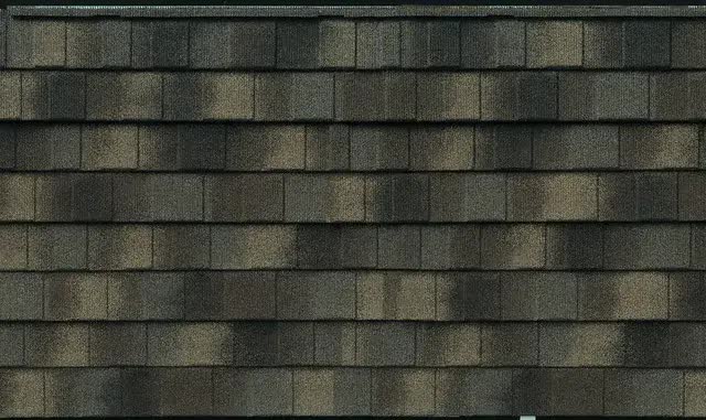 Mark Ferguson Roofing & Construction Images